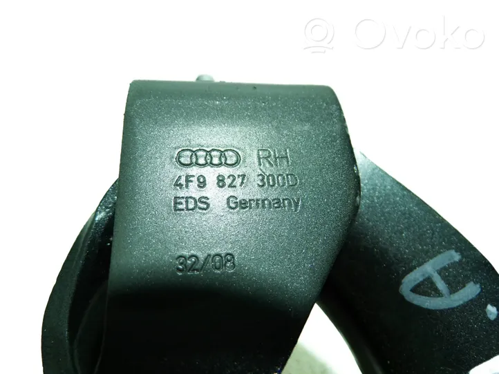 Audi A6 S6 C6 4F Vyris (-iai) galinio dangčio 4F9827300D