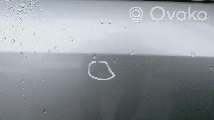 Opel Signum Rear door 