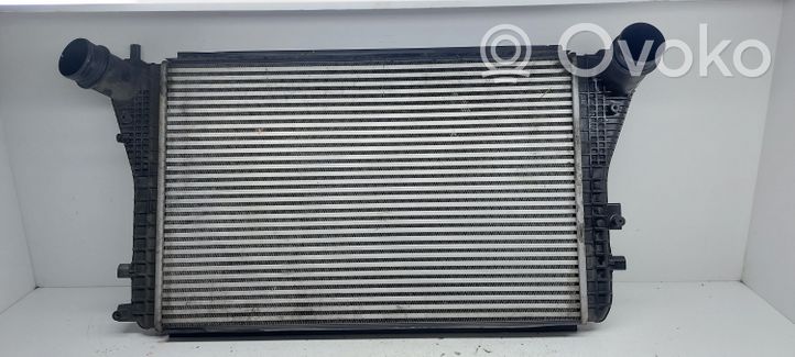 Volkswagen Touran II Radiatore intercooler 1K0145803