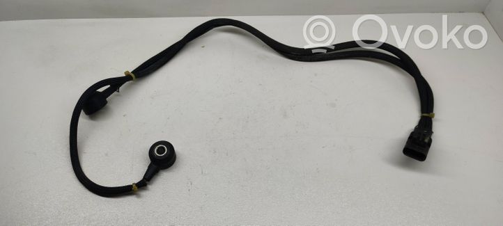 Mercedes-Benz GLE AMG (W166 - C292) Klopfsensor A2789050000