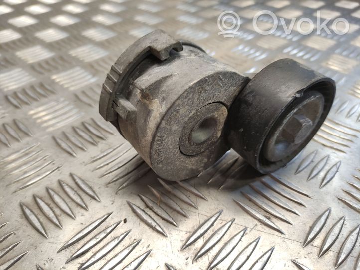 Citroen DS5 Napinacz paska wielorowkowego / Alternatora 9671609180