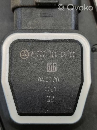 Mercedes-Benz C W204 Kaasupoljin A2223000900