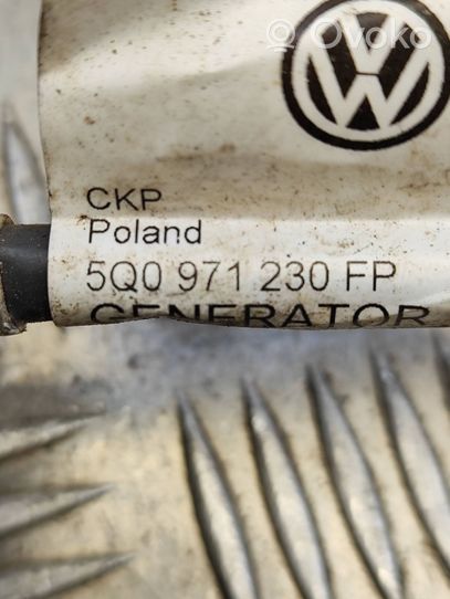 Volkswagen PASSAT B8 Wiązka alternatora 5Q0971230FP