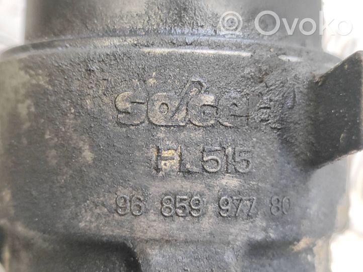 Ford S-MAX Öljynsuodattimen kannake 9685997780