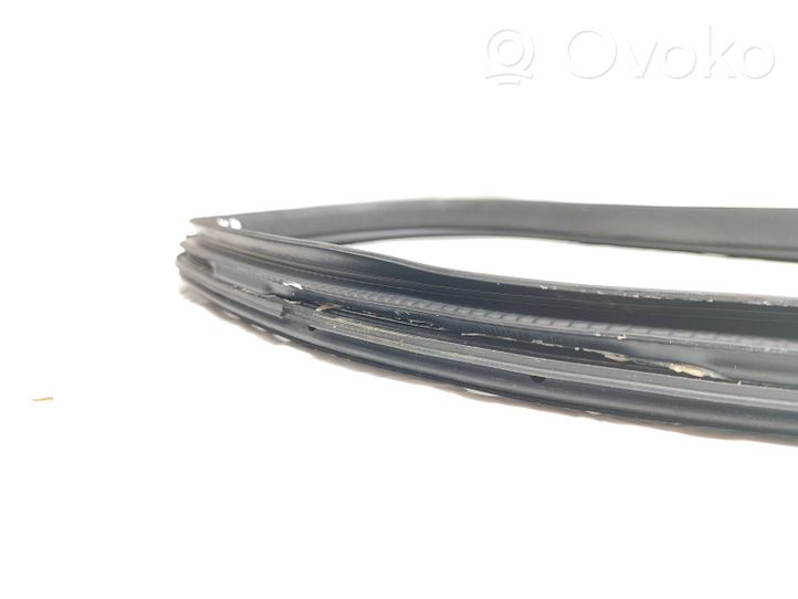 Toyota Aygo AB40 Front door rubber seal 