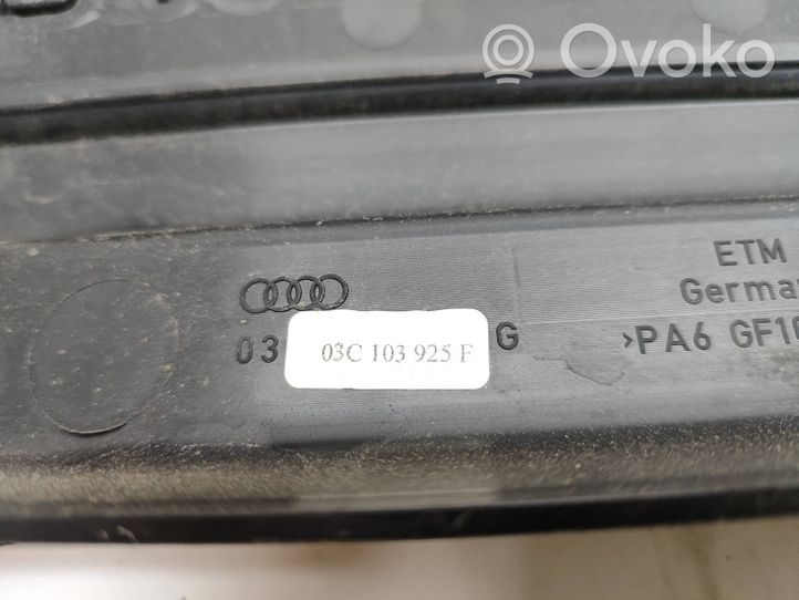 Audi A3 S3 A3 Sportback 8P Variklio dangtis (apdaila) 03C103925F