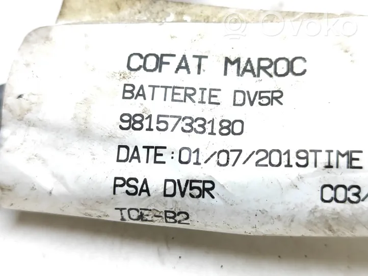 Citroen C3 Câble de batterie positif 9815733180