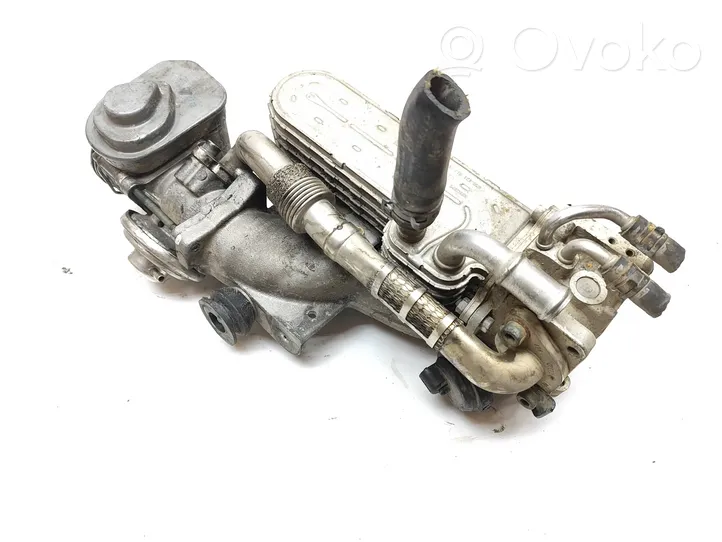 Skoda Octavia Mk2 (1Z) EGR valve cooler 038131513AD