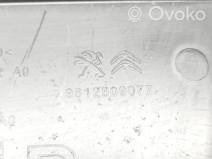 Peugeot 3008 II Tavaratilan sivuverhoilu 9812509077