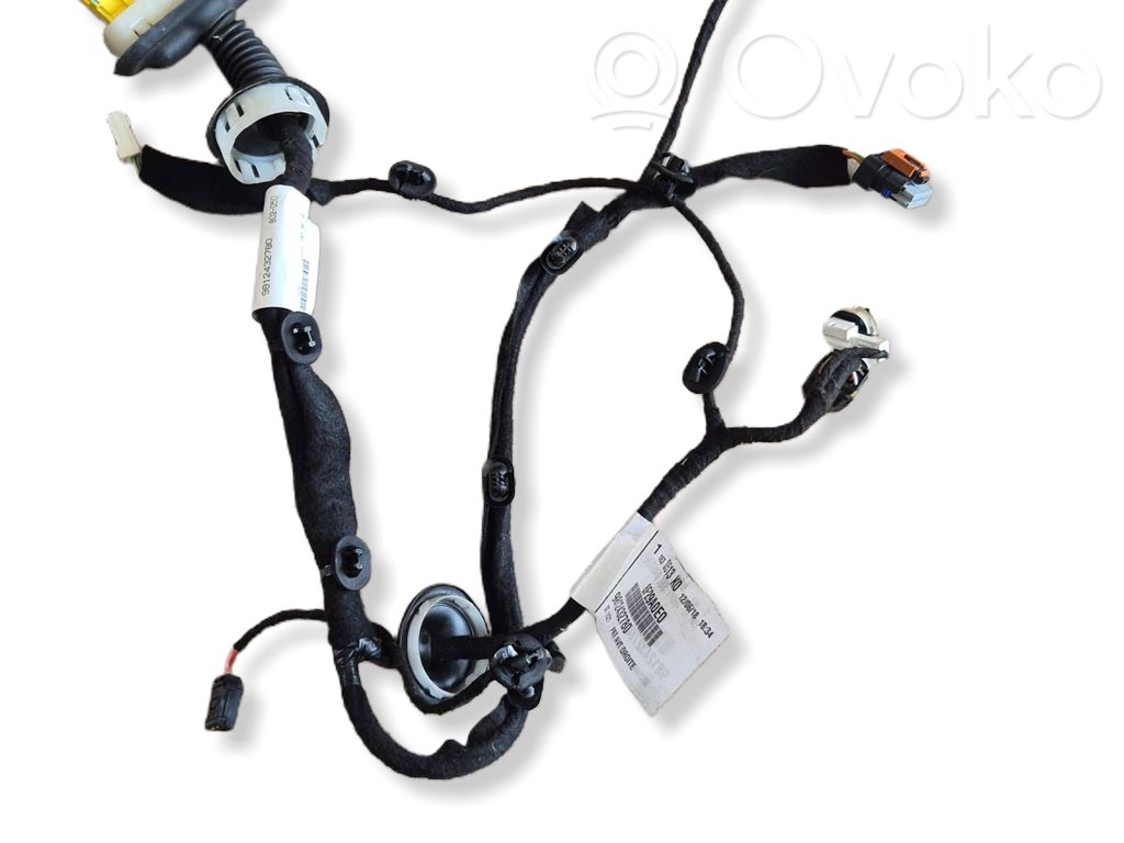 Peugeot Expert Cableado de puerta delantera 