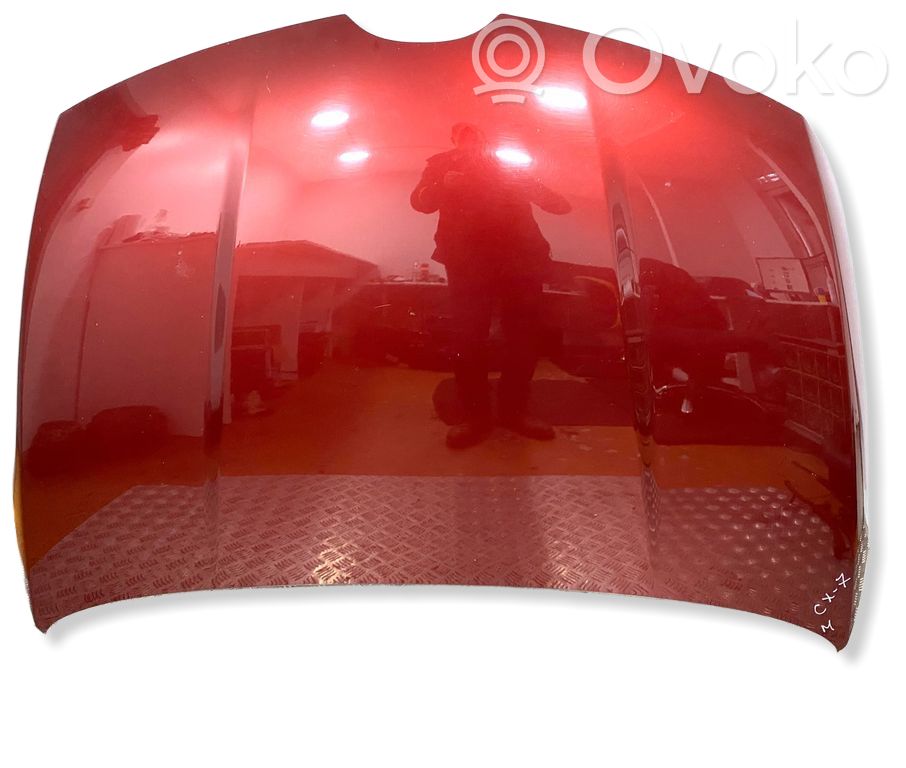 Motorhaube