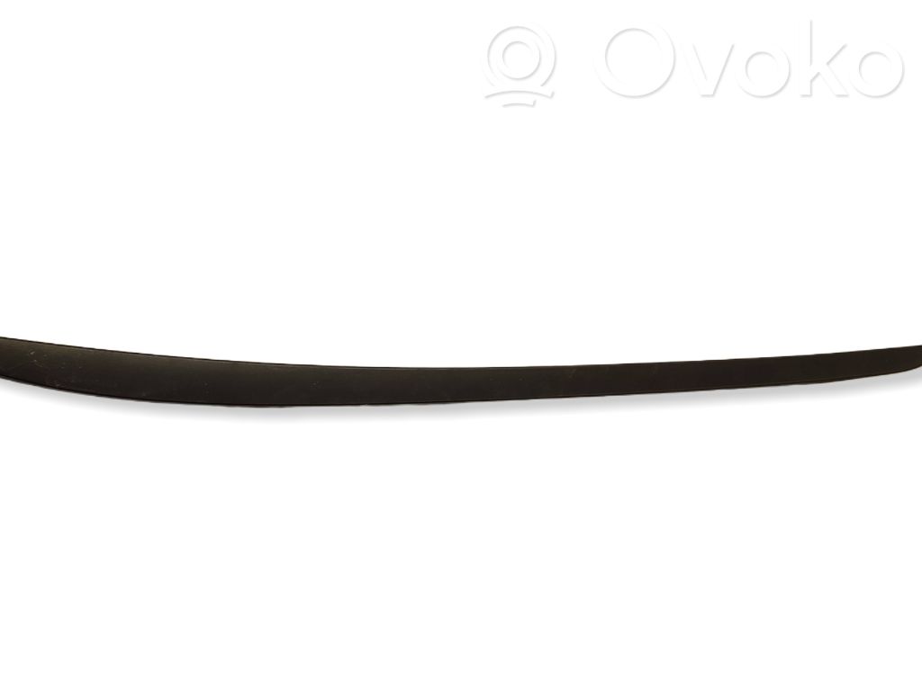 Ford Focus Windshield trim 