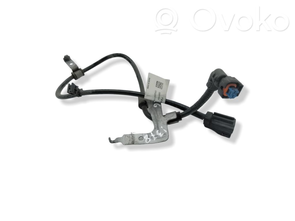 Toyota RAV 4 (XA50) Cableado del sensor ABS trasero 
