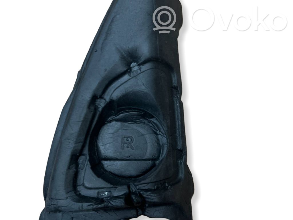 BMW X5 F15 Parte dello specchietto retrovisore della portiera anteriore 
