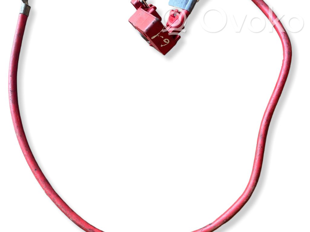 Positive cable (battery)   6989775