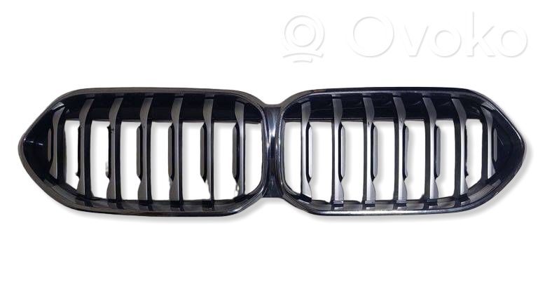 BMW 2 F44 Etusäleikkö 