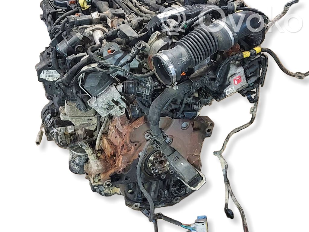 Engine   9805300680,9800137480,94675G01,967430008005,9674984080,9674984480,9805447380,9807143780,9807255680,9826550280,AH01,AHX