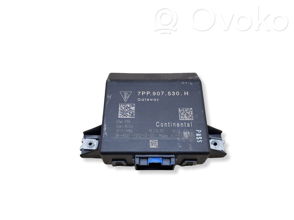 Porsche Cayenne (92A) Modul control gateway 