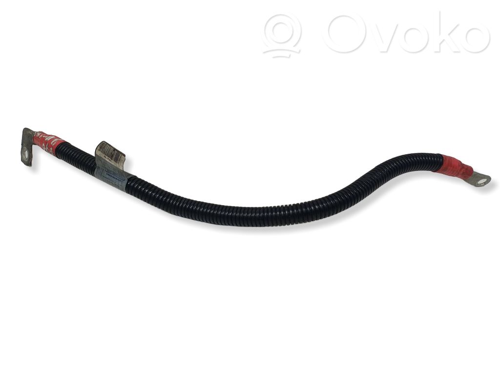 Plusa vads (akumulatora)   7796127