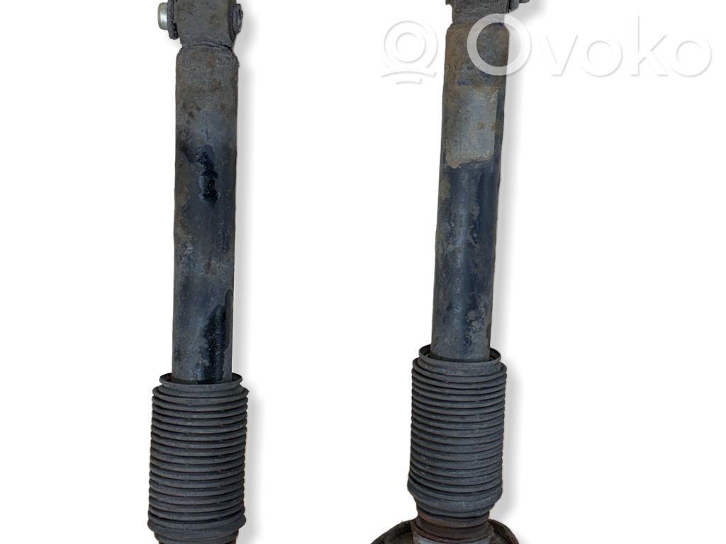 Stoßdämpfer hinten   6773669,33526773669