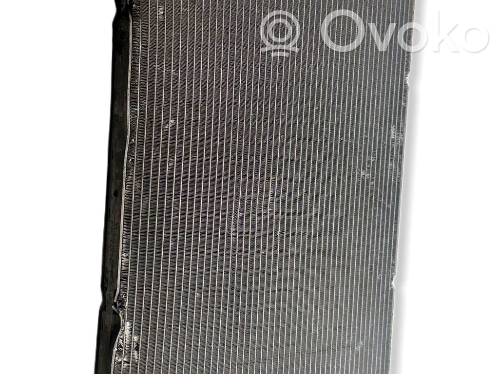 Aušinimo skysčio radiatorius   BV618005B