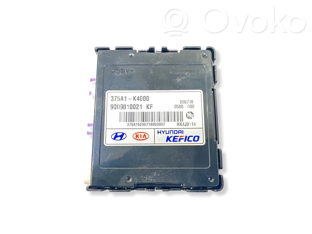 Hyundai Kona I Current control relay 