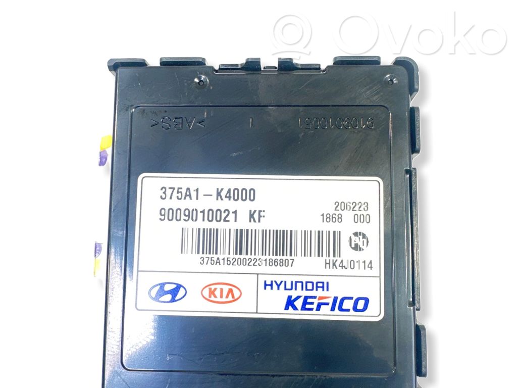 Hyundai Kona I Current control relay 