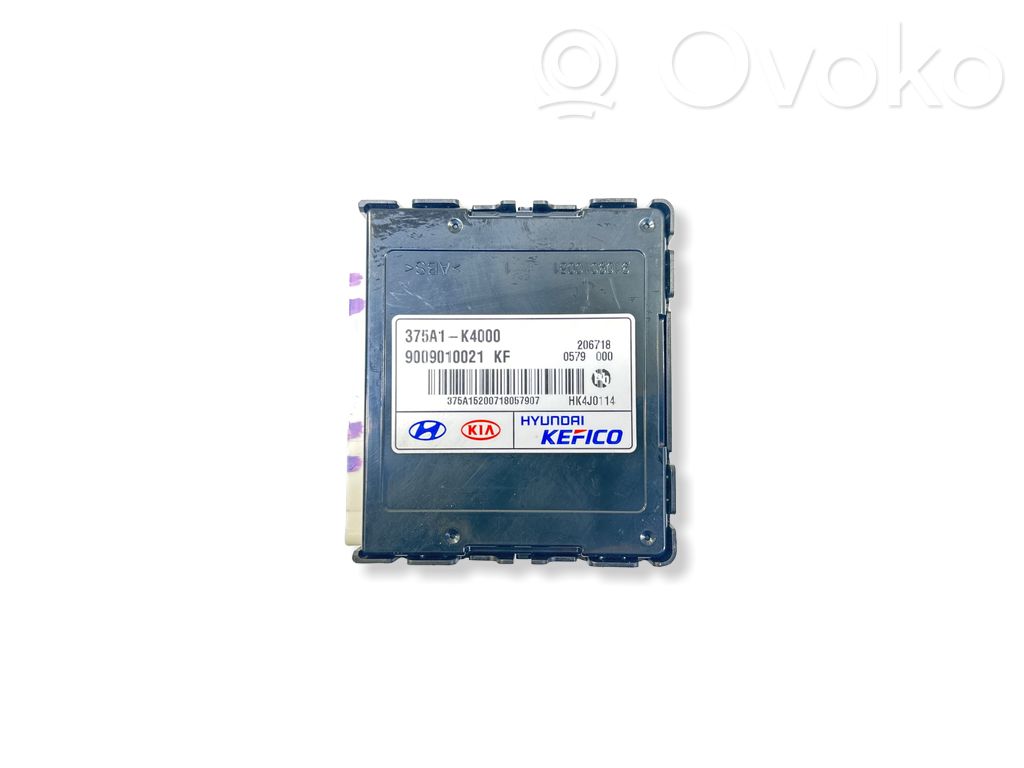 Hyundai Kona I Current control relay 
