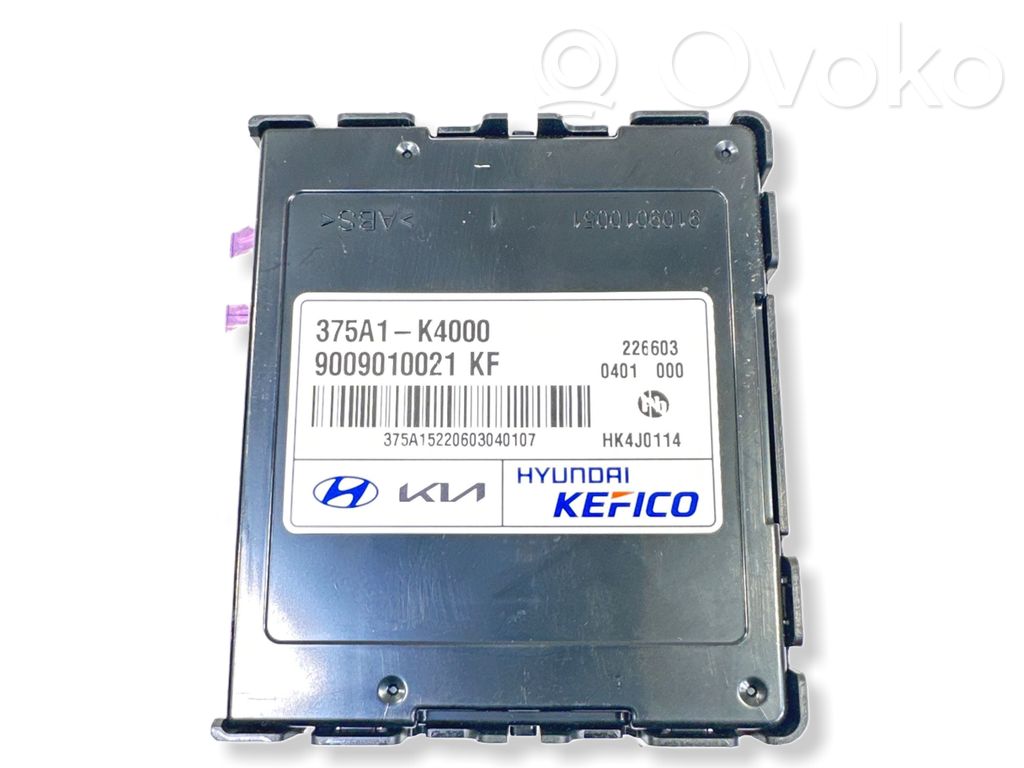 Hyundai Kona I Current control relay 