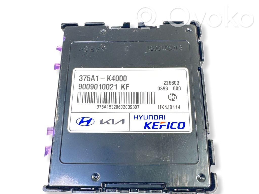 Hyundai Kona I Current control relay 