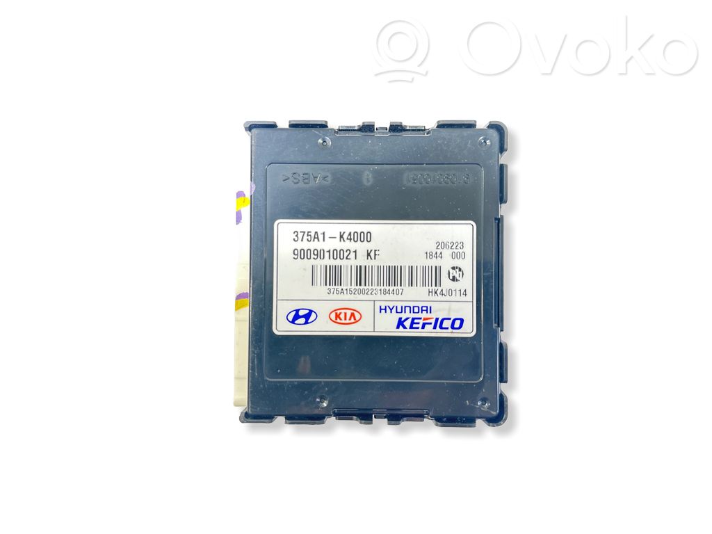 Hyundai Kona I Current control relay 