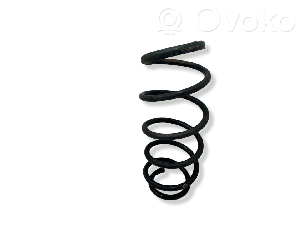 Front coil spring