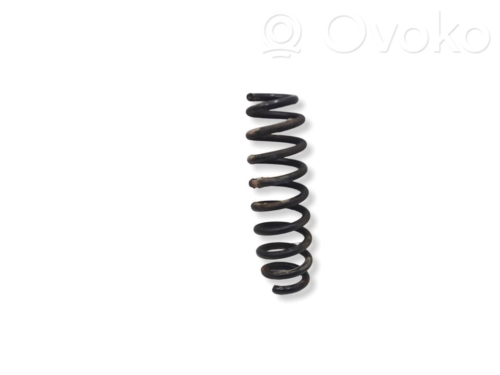 Rear coil spring