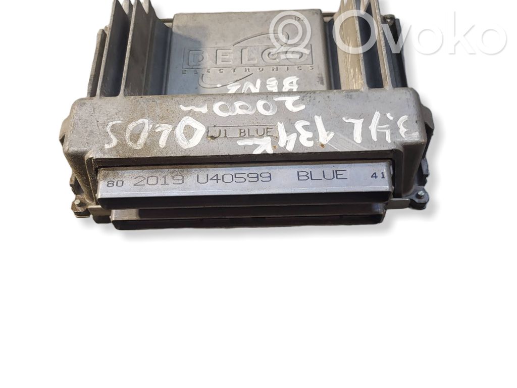 Chevrolet Trans Sport Engine control unit/module 