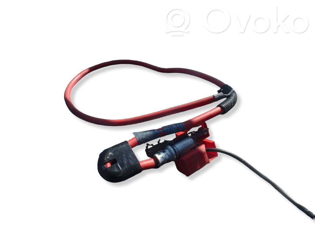 Cable positivo (batería)   6931519