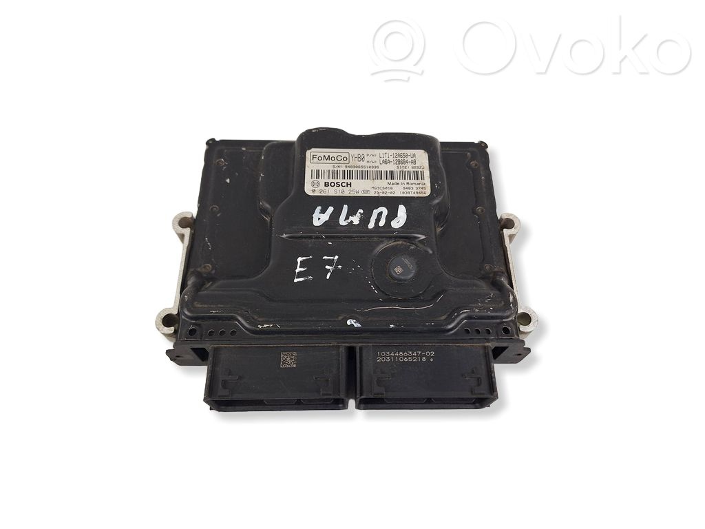 Ford Puma Engine control unit/module 