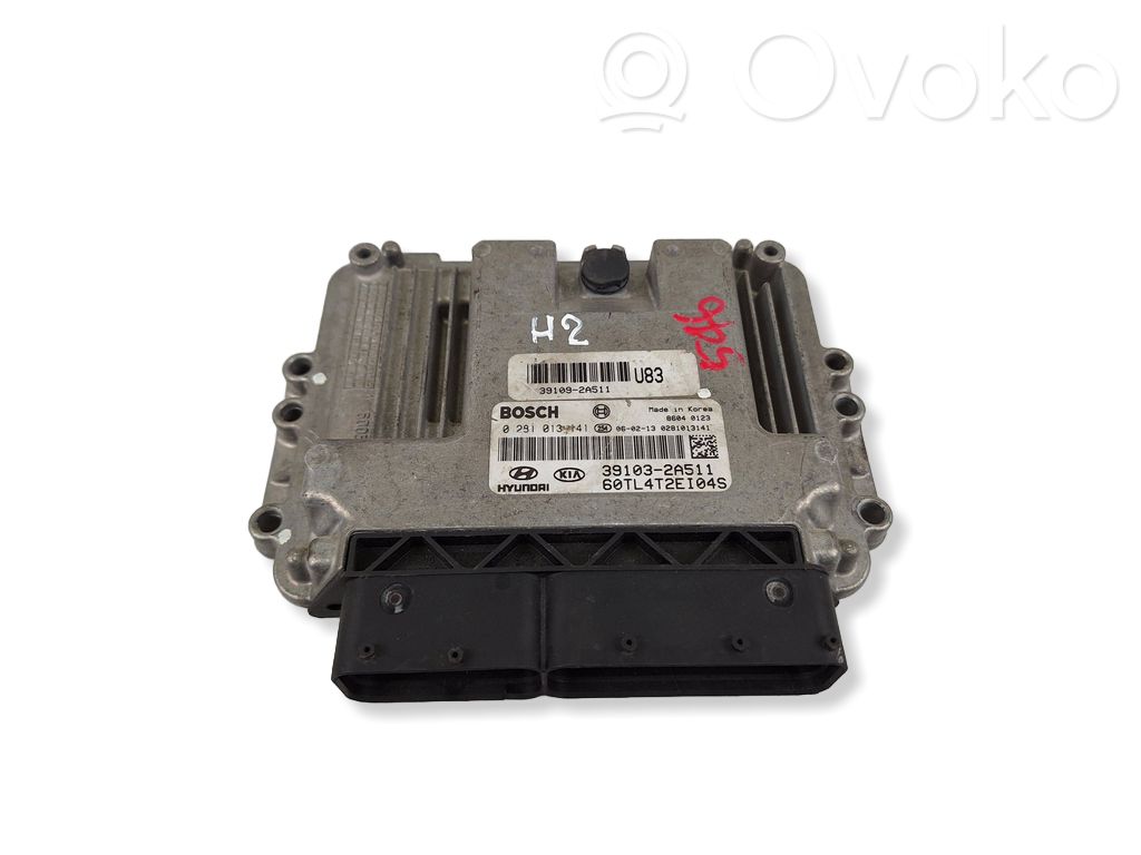 Hyundai Getz Engine control unit/module 
