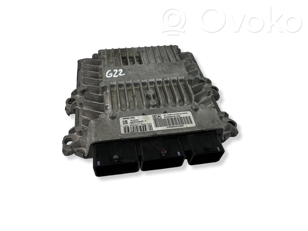 Peugeot 407 Engine control unit/module 