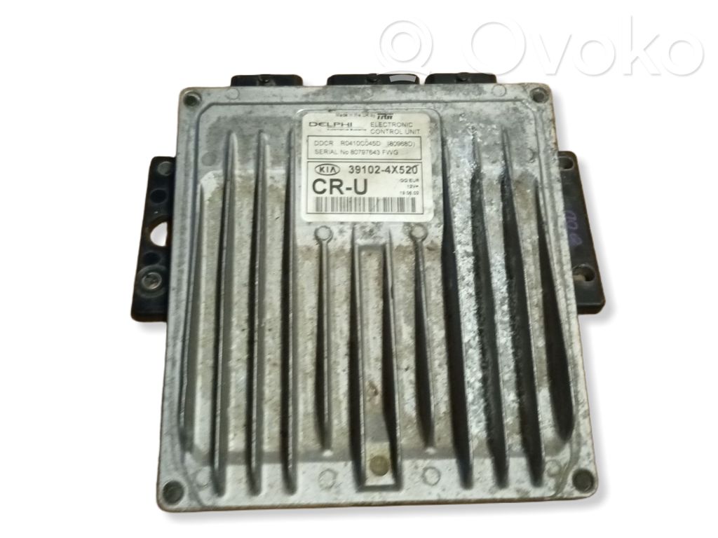 Engine control unit/module   391024X520,R0410C045D,80797643
