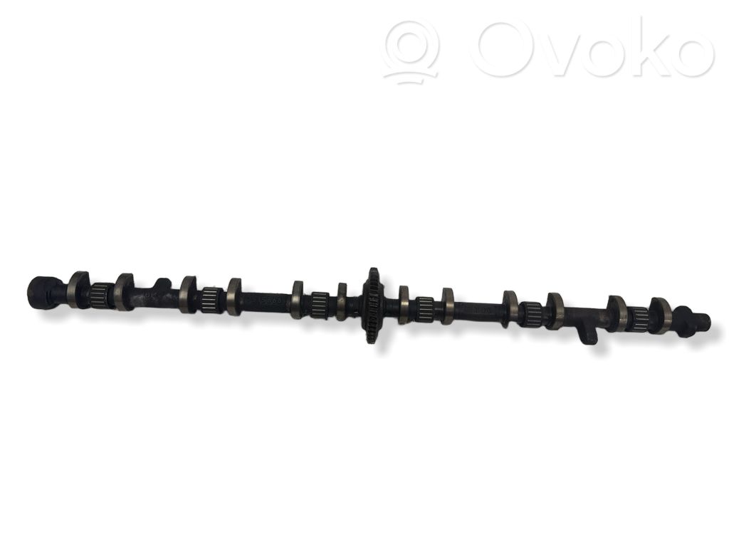 Sadales vārpsta   7515868