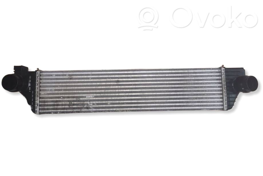 Renault Master III Chłodnica powietrza doładowującego / Intercooler 