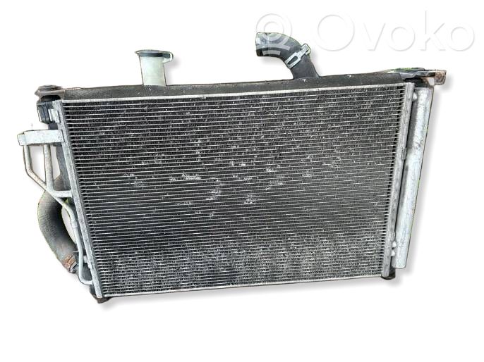 Kit Radiateur   25304A6600,A20094580,G660