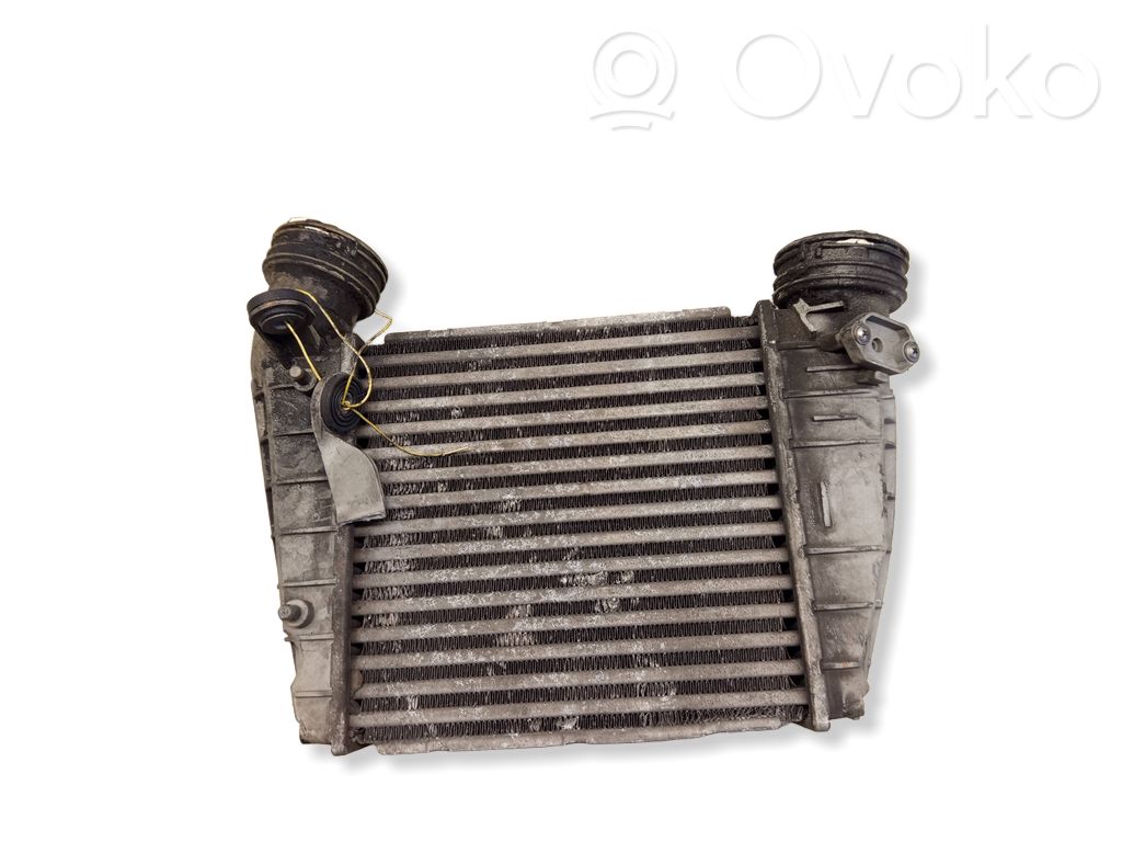 Volkswagen Phaeton Oro nukreipėjas/ kanalas interkūlerio radiatoriaus 