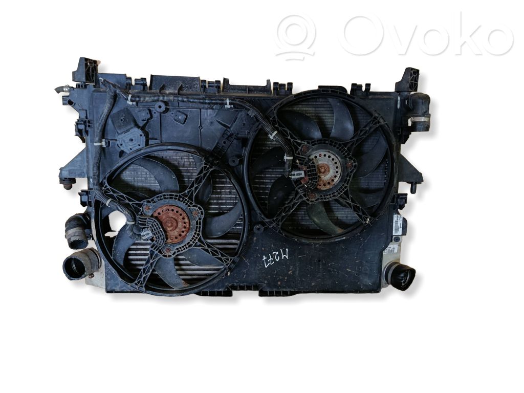 Elektryczny wentylator chłodnicy   1358013080,D8713003,27062014602