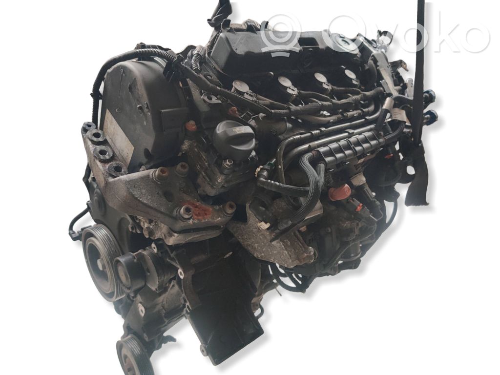 Motor   DW10FUD