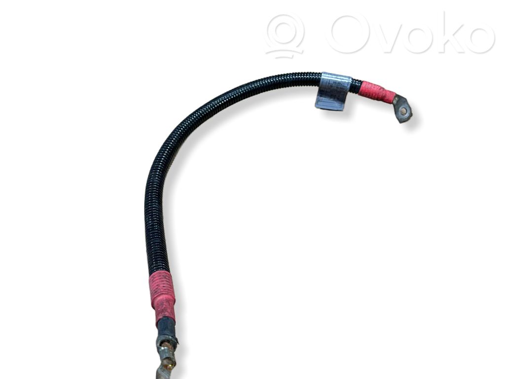 Positive cable (battery)   7789754,6166715,EMB69R