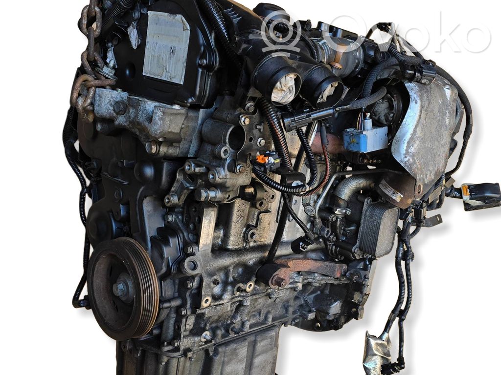 Engine   9823761480,DV6FCU