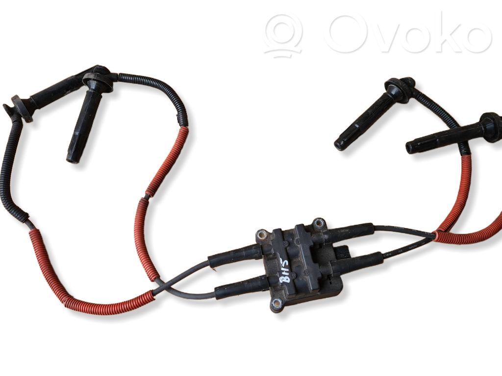 High voltage ignition coil