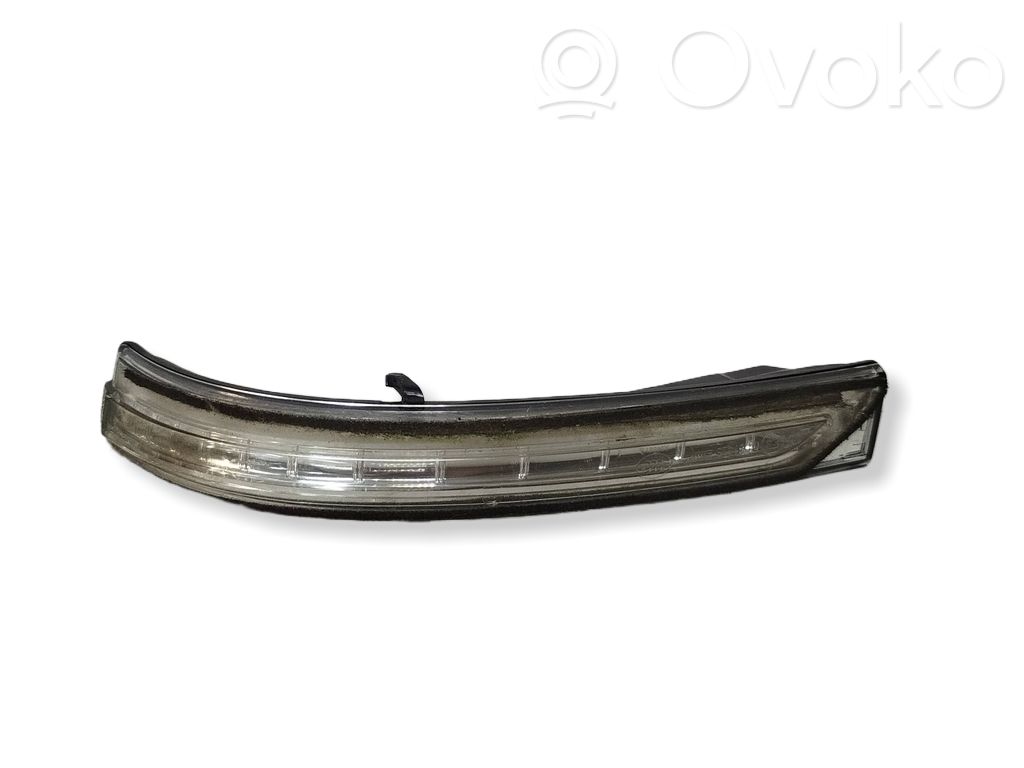 Spiegelblinker   876142T000