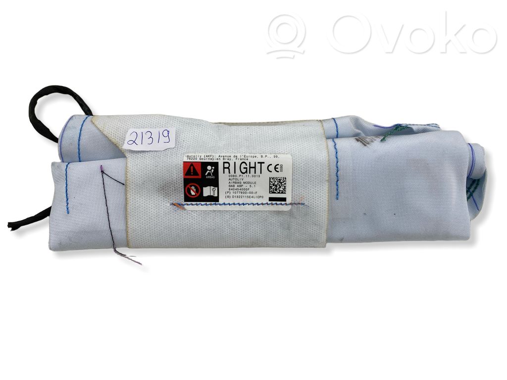 Tesla Model Y Seat airbag 